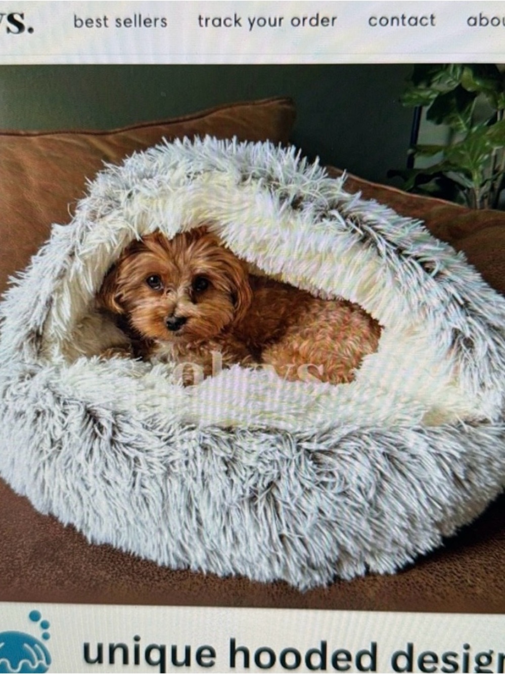Brand new olvys cozy cocoon pet bed large